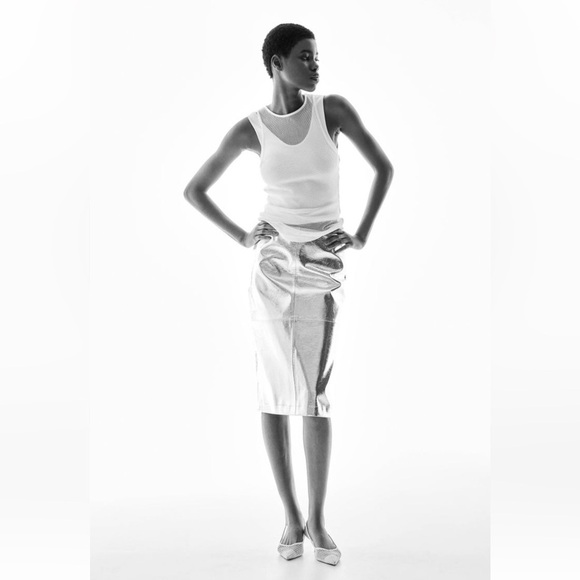 NWT H&M Studio Collection Coated Skirt Size 6 - Picture 2 of 7